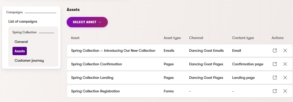 Campaign assets showing related pages, emails, and forms