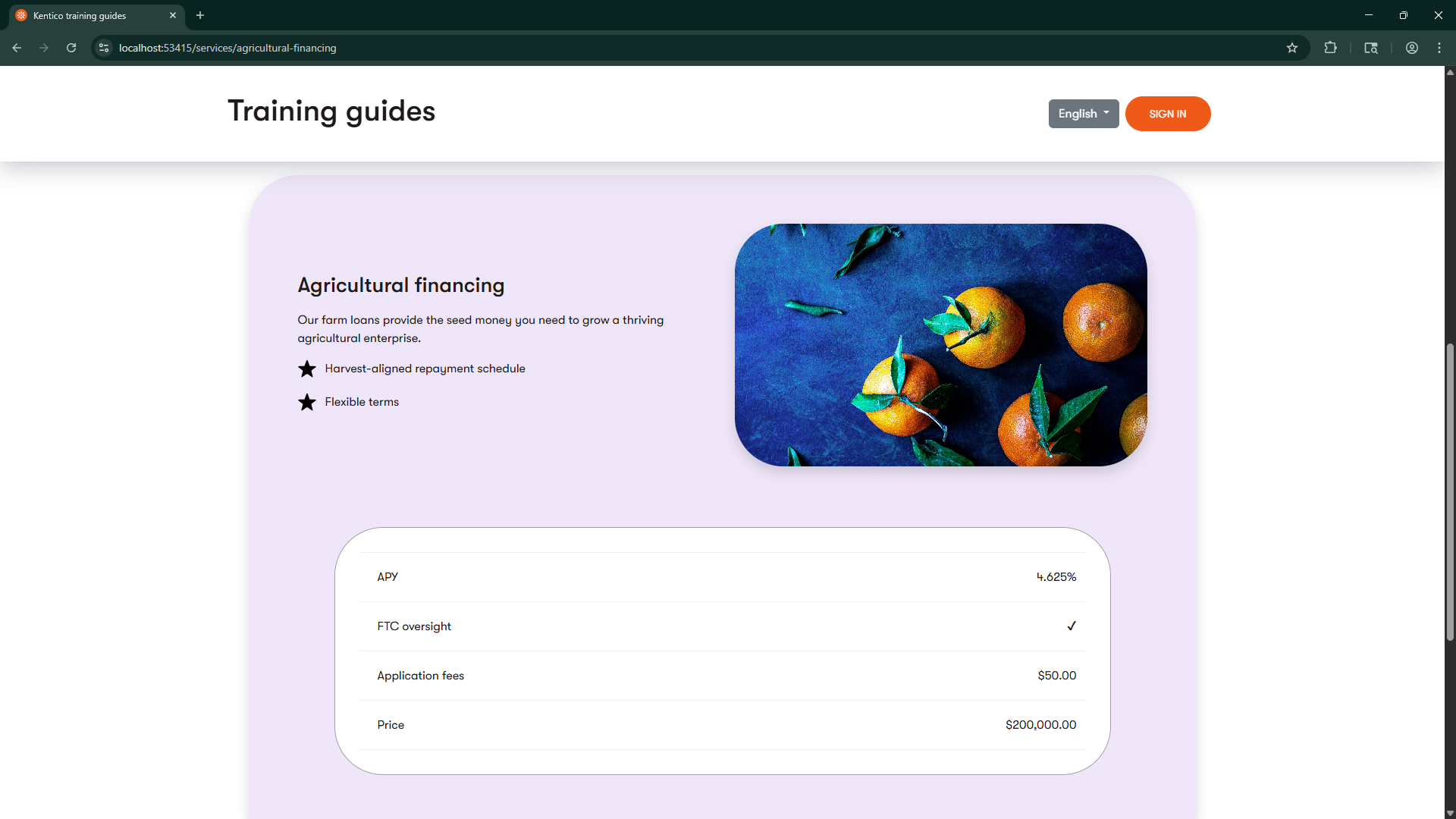 Screenshot of a service page