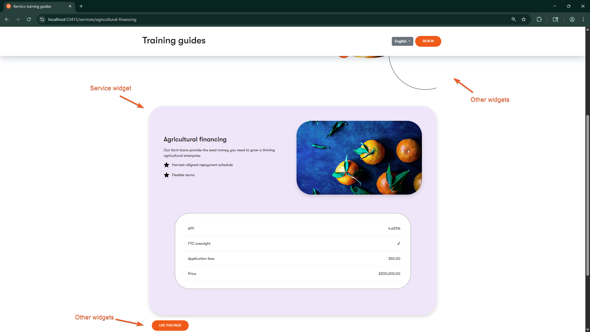 Annotated screenshot shot of the service widget alongside other widget content
