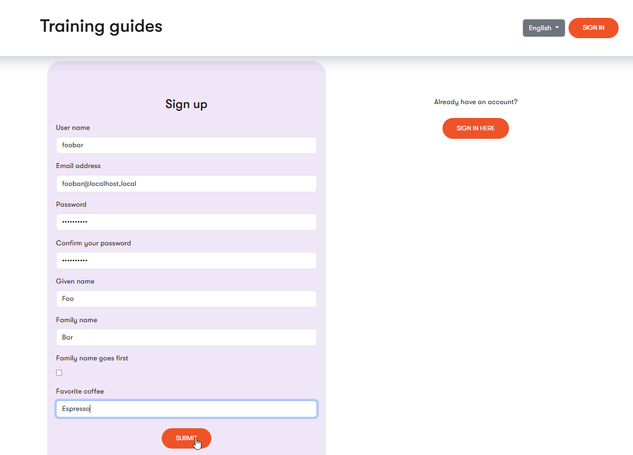 Screenshot of the registration form filled out on a page