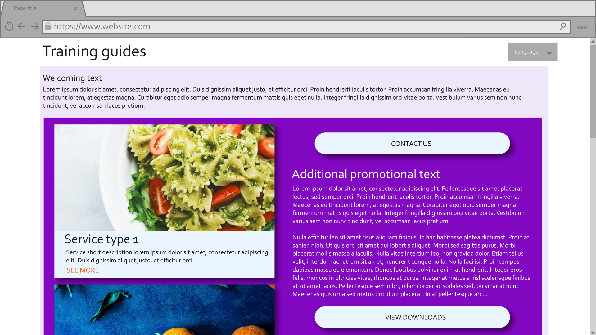 Alternate mockup of a promotional page with two services