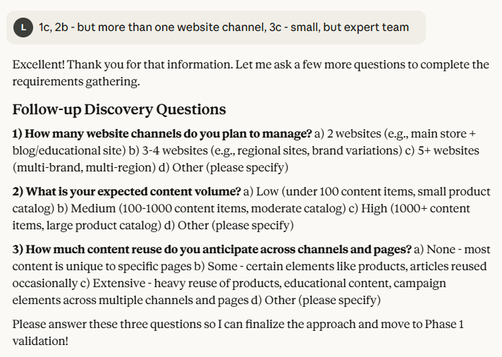 MCP server requests additional project information