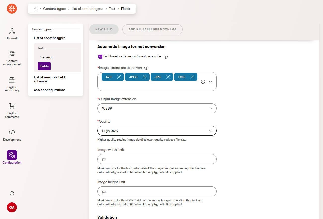 A screenshot of form component configuration of the new content type showing the conversion settings.
