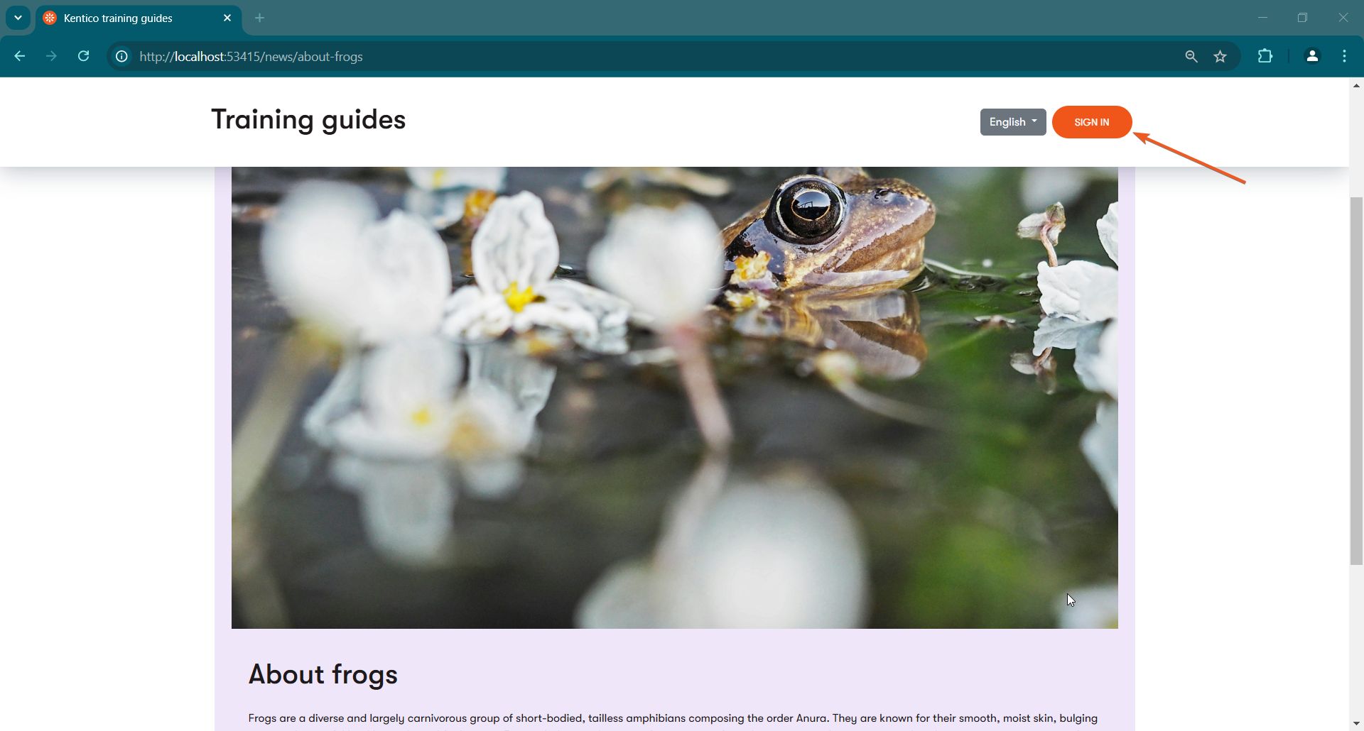 Screenshot of the ‘About frogs’ article displaying on the site even though the underlying reusable item is secured