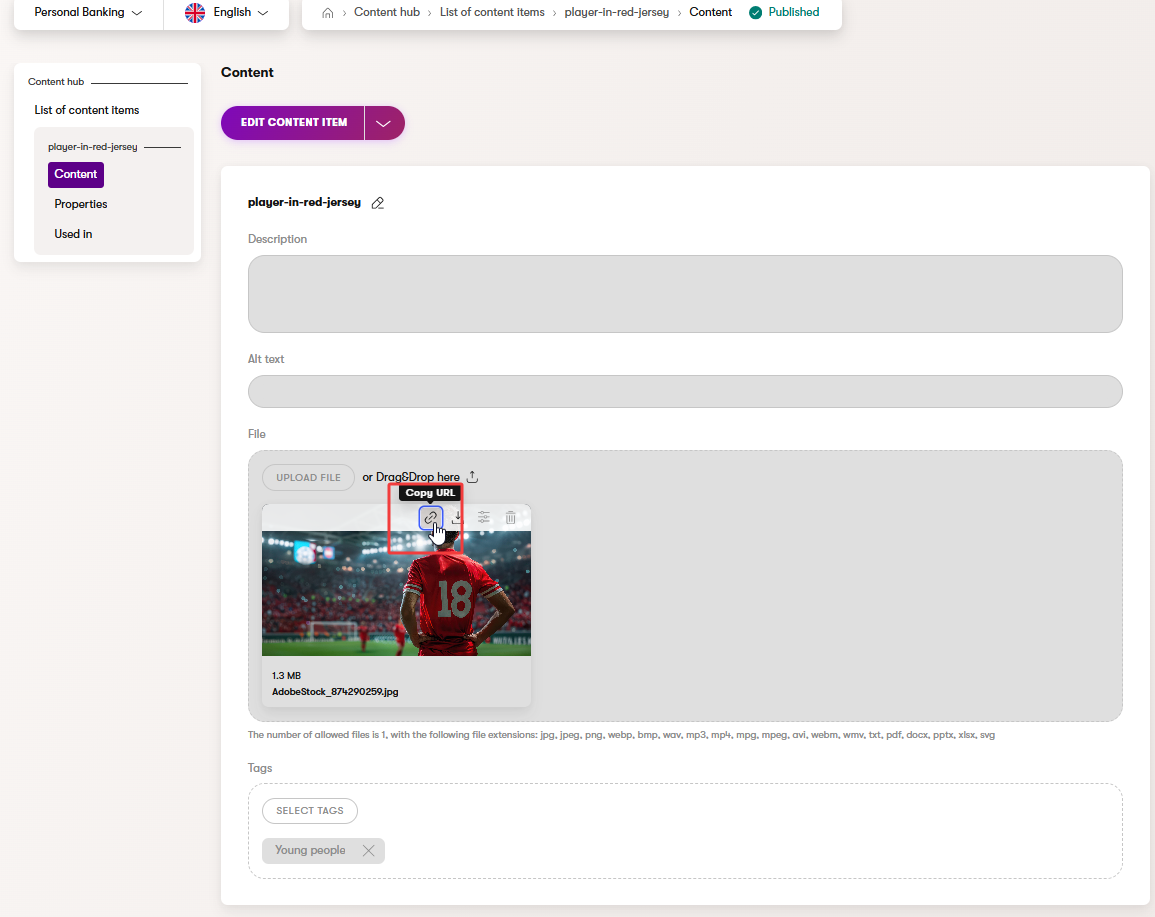 Copy asset URL