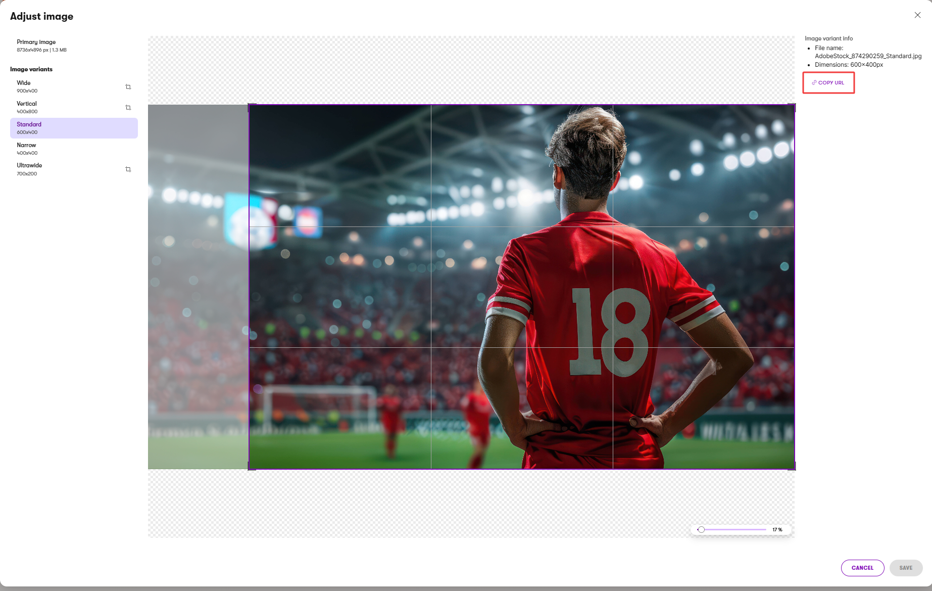Copy image variant URL