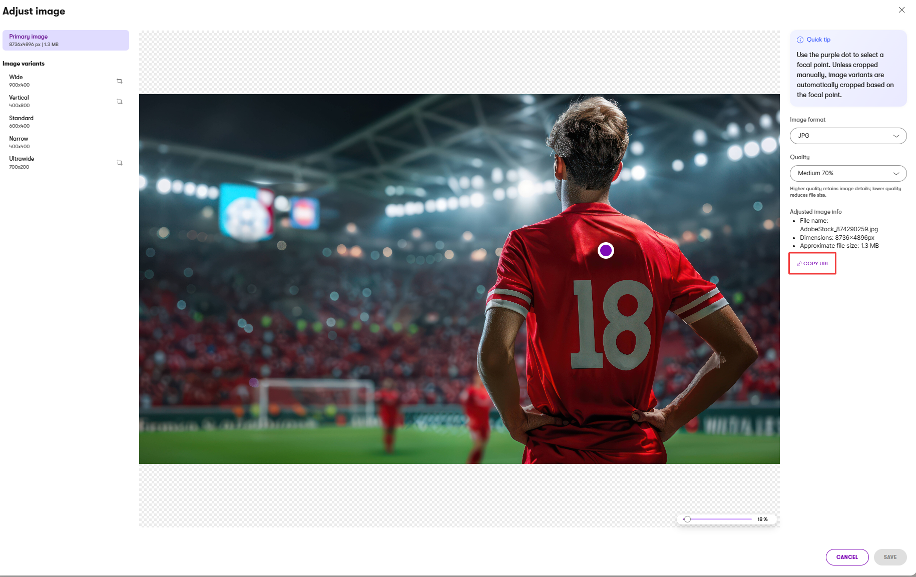 Copy primary image URL