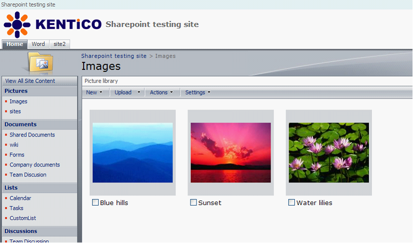 Displaying pictures from picture libraries on a SharePoint server